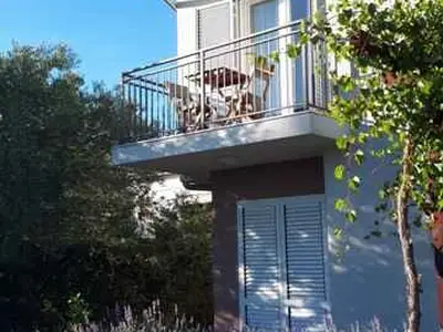 Ferienwohnung für 4 Personen (40 m²) in Sveti Filip i Jakov 3/10