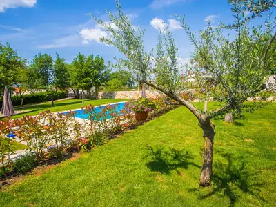 Ferienwohnung für 4 Personen (48 m²) in Sveti Lovreč Pazenatički 10/10