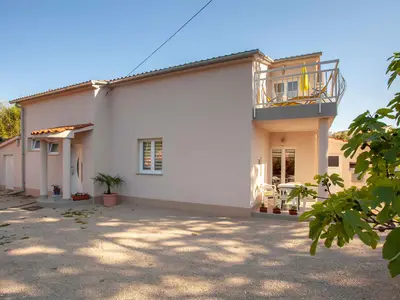 Ferienwohnung für 3 Personen (40 m²) in Sveti Vid-Miholjice 2/10