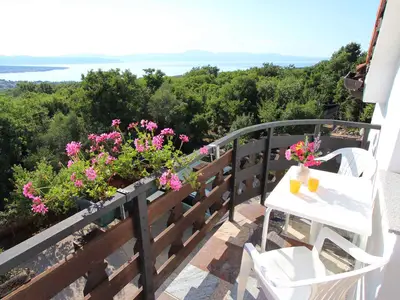 Ferienwohnung für 4 Personen (53 m²) in Sveti Vid-Miholjice 2/10