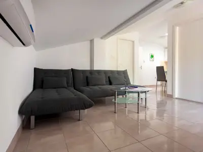 Ferienwohnung für 3 Personen (40 m²) in Sveti Vid-Miholjice 9/10