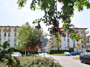 Ferienwohnung für 3 Personen (28 m²) in Swinemünde