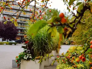 Ferienwohnung für 2 Personen (28 m²) in Swinemünde