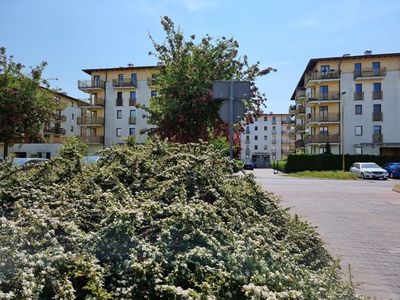 Ferienwohnung für 4 Personen (36 m²) in Swinemünde 2/10