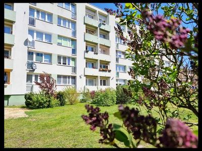 Ferienwohnung für 4 Personen (46 m²) in Swinemünde 1/10