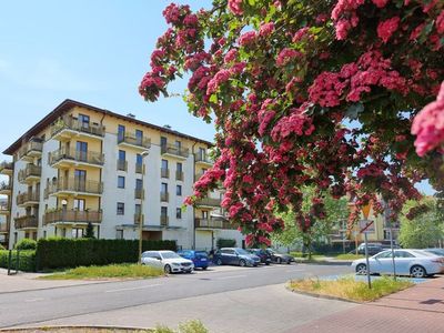 Ferienwohnung für 3 Personen (28 m²) in Swinemünde 4/10