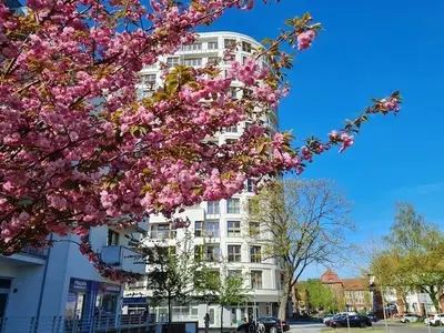 Ferienwohnung für 4 Personen (31 m²) in Swinemünde 4/10