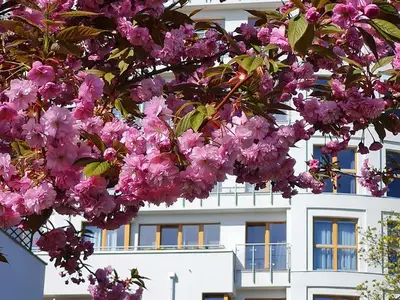 Ferienwohnung für 4 Personen (31 m²) in Swinemünde 5/10