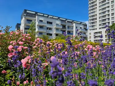 Ferienwohnung für 6 Personen (72 m²) in Swinemünde 7/10