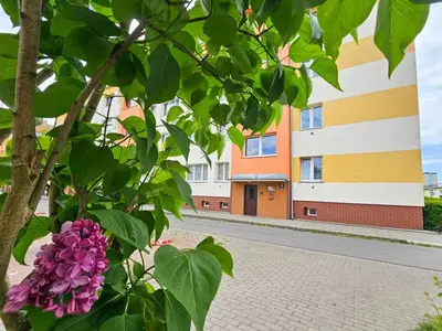 Ferienwohnung für 4 Personen (51 m²) in Swinemünde 6/10