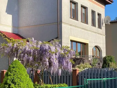 Ferienwohnung für 5 Personen (70 m²) in Swinemünde 1/10