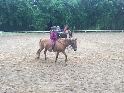 Ferienwohnung für 8 Personen (120 m²) in Swinemünde 10/10