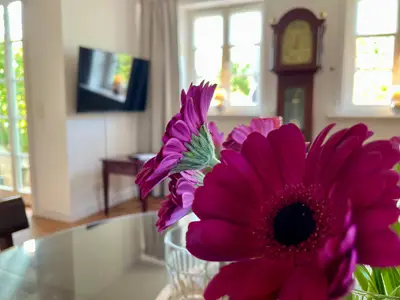 Ferienwohnung für 2 Personen (60 m²) in Westerland (Sylt) 9/10