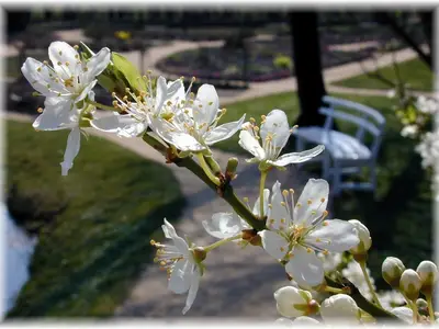 Ferienwohnung für 4 Personen (60 m²) in Sylt-Ost 4/10