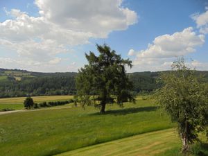 19210432-Ferienwohnung-4-Tännesberg-300x225-4