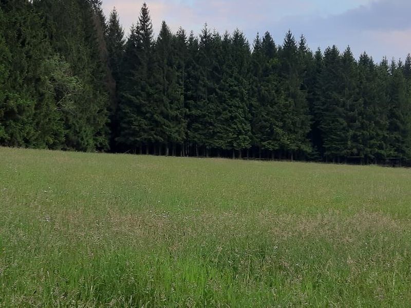 23082371-Ferienwohnung-4-Tännesberg-800x600-2