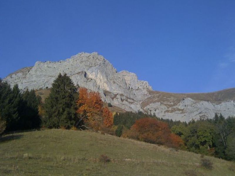 19075872-Ferienwohnung-3-Talloires-Montmin-800x600-1