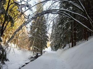 19070922-Ferienwohnung-6-Tambach-Dietharz-300x225-3