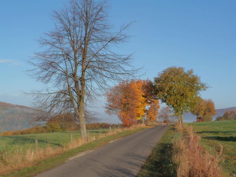 22797355-Ferienwohnung-3-Tann (Rhön)-800x600-2