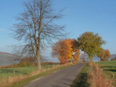 Ferienwohnung für 3 Personen (50 m²) in Tann (Rhön) 3/10