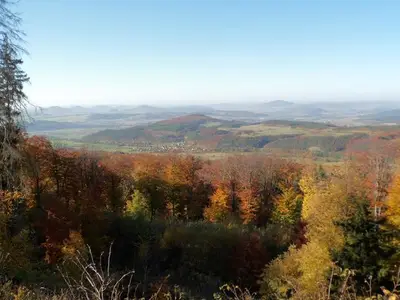 Ferienwohnung für 3 Personen (50 m²) in Tann (Rhön) 4/10