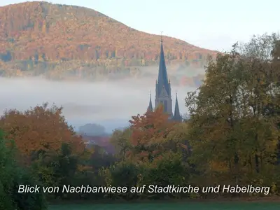 Ferienwohnung für 3 Personen (50 m²) in Tann (Rhön) 5/10