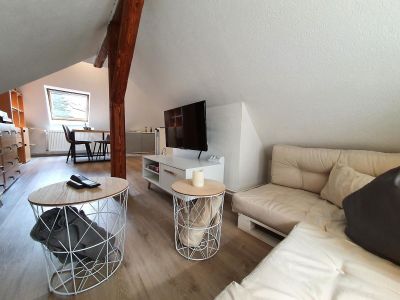 Ferienwohnung für 3 Personen (50 m²) in Tanne 10/10