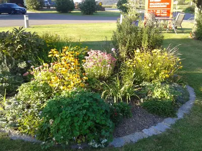 Garten