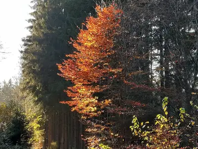 20201105_150853.jpg
