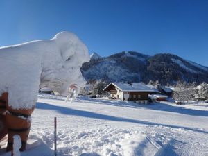 19114884-Ferienwohnung-2-Tannheim-300x225-2