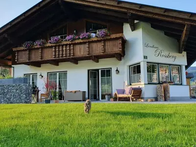 Ferienwohnung für 4 Personen (90 m²) in Tannheim 2/10
