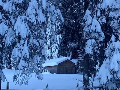 Ferienwohnung für 5 Personen (67 m²) in Tannheim 7/10