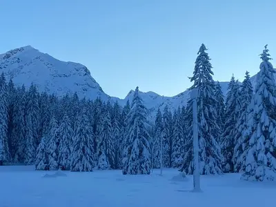 Ferienwohnung für 5 Personen (67 m²) in Tannheim 8/10