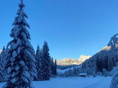 Ferienwohnung für 5 Personen (67 m²) in Tannheim 10/10