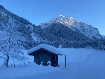 Ferienwohnung für 5 Personen (65 m²) in Tannheim 3/10