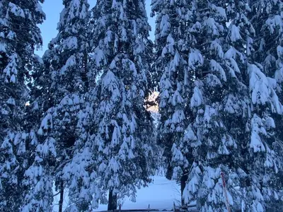 Ferienwohnung für 5 Personen (65 m²) in Tannheim 4/10