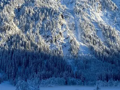 Ferienwohnung für 5 Personen (65 m²) in Tannheim 5/10