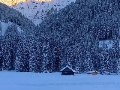 Ferienwohnung für 5 Personen (65 m²) in Tannheim 6/10