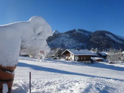 Ferienwohnung für 3 Personen (37 m²) in Tannheim 3/10