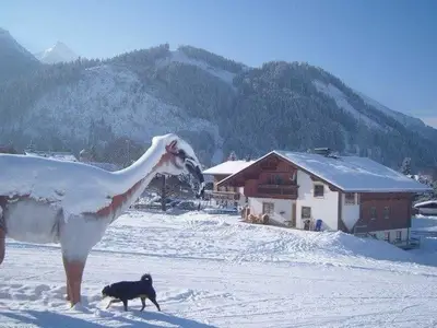 Ferienwohnung für 3 Personen (37 m²) in Tannheim 5/10