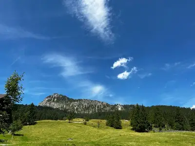 Ferienwohnung für 5 Personen (80 m²) in Tannheim 2/10