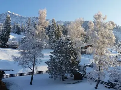 Ferienwohnung für 3 Personen (58 m²) in Tannheim 3/10