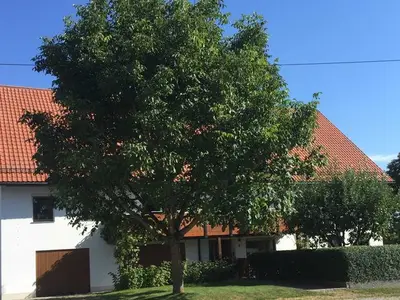 Ferienwohnung für 6 Personen (100 m²) in Tannheim (Württemberg) 1/10