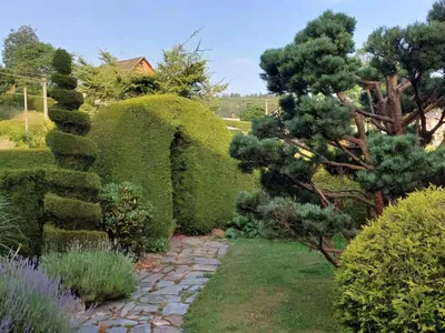 Ferienwohnung für 6 Personen (95 m²) in Tanvald 6/10