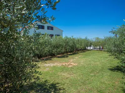 Ferienwohnung für 4 Personen (40 m²) in Tar 5/10