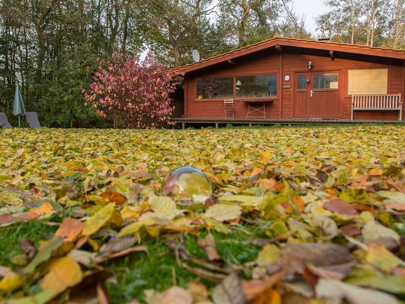 Ferienwohnung für 3 Personen (60 m²) ab 72 € (ID:18587717) Tating