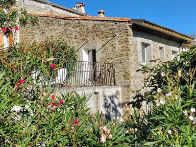 Dama Jana depuis les lauriers du jardin Vallespir