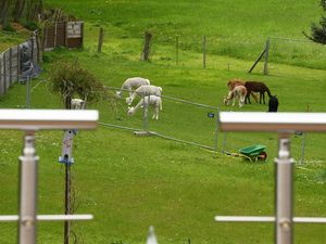 Blick von der Dachterrasse ins Chemnitztal