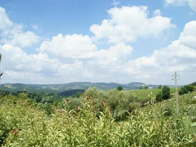 ViewSummer