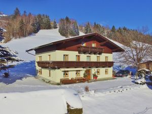 Ferienwohnung für 8 Personen (150 m²) in Taxenbach